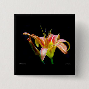 Badge Carré 5 Cm Jolis vêtements et cadeaux Tawny Daylily II