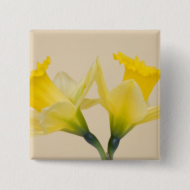 Badge Carré 5 Cm Jonquilles jaunes (Devant)