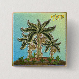 Badge Carré 5 Cm Judaïque 12 Tribus Israël Joseph