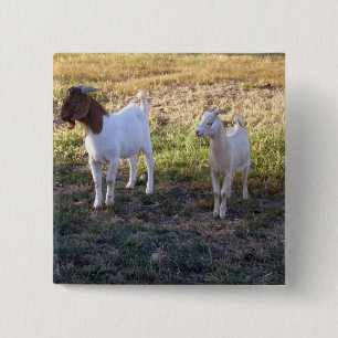 Badge Carré 5 Cm July2008_TwoGoats_v2