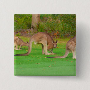 Badge Carré 5 Cm kanga