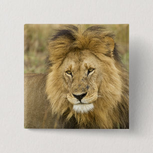 Badge Carré 5 Cm Kenya Masai Mara