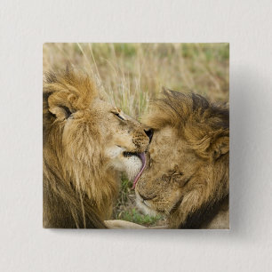 Badge Carré 5 Cm Kenya, Masai Mara