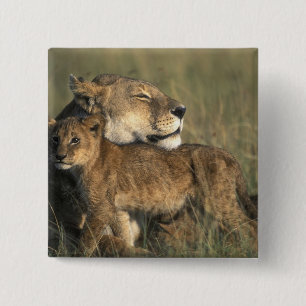 Badge Carré 5 Cm Kenya, Masai Mara Game Reserve, Lioness