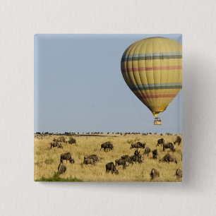 Badge Carré 5 Cm Kenya, Masai Mara. Les touristes font un tour en m