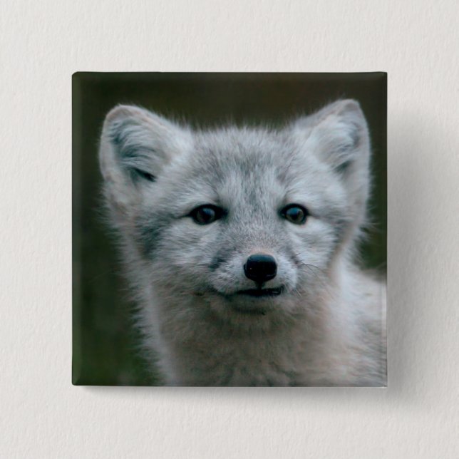 Badge Carré 5 Cm Kit de Fox arctique des images | de Getty (Devant)