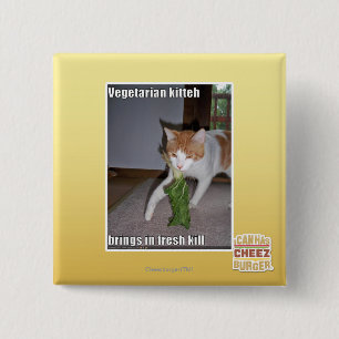 Badge Carré 5 Cm Kitteh végétarien