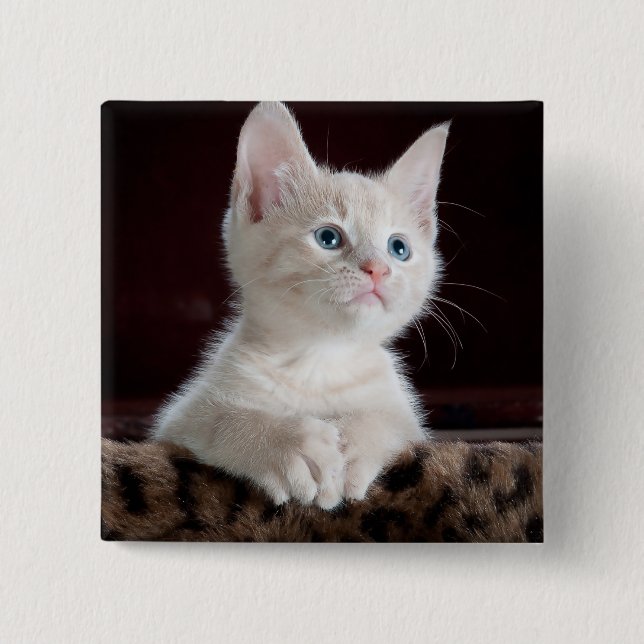 Badge Carré 5 Cm Kitten blanc vulnérable (Devant)