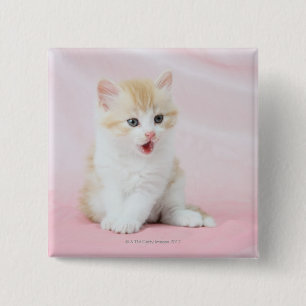 Badge Carré 5 Cm Kitten sur Arrière - plan rose