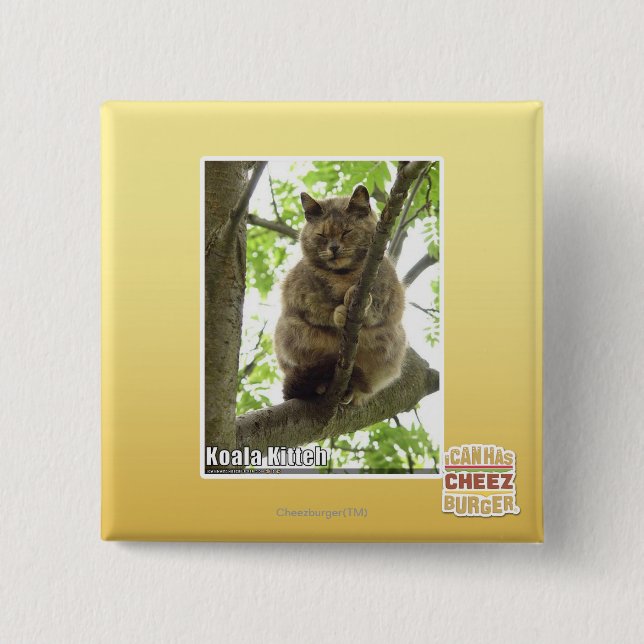 Badge Carré 5 Cm Koala Kitteh (Devant)