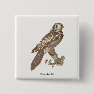 Badge Carré 5 Cm La Chouette du Nord (Surnia ulula) Image d'oiseau