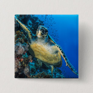 Badge Carré 5 Cm La Mer Rouge verte de la tortue de mer