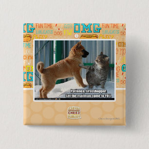 Badge Carré 5 Cm La patience, sauterelle