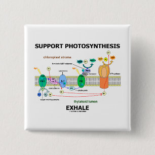 Badge Carré 5 Cm La photosynthèse de soutien exhalent (l'humour de