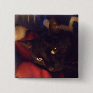 Badge Carré 5 Cm La plupart de bouton beau