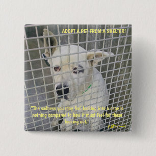 Badge Carré 5 Cm La tristesse que l'on voit chez un chien de refuge
