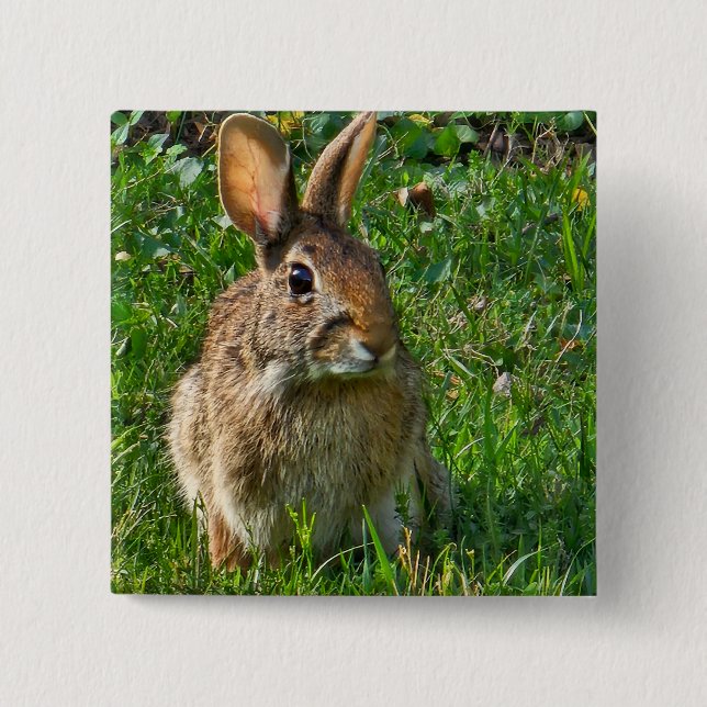 Badge Carré 5 Cm Lapin à queue blanche de l'Est (Devant)