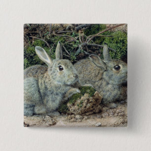 Badge Carré 5 Cm Lapins