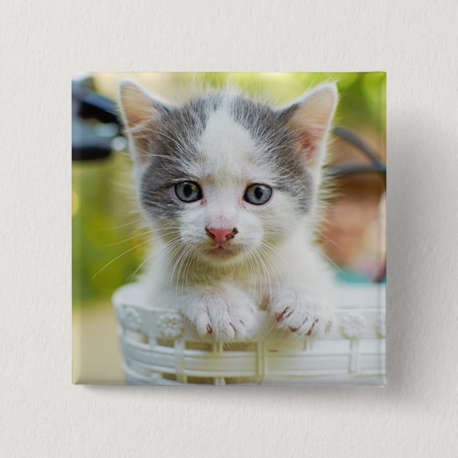Badge Carré 5 Cm Le chaton monte un vélo (Devant)