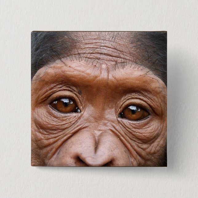 BADGE CARRÉ 5 CM LE CHIMPANZÉ OBSERVE LE BOUTON (Devant)