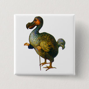 Badge Carré 5 Cm Le Dodo Bird