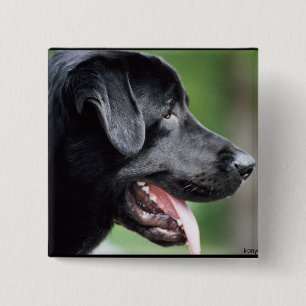 Badge Carré 5 Cm Le Labrador noir