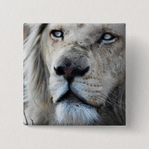 Badge Carré 5 Cm Le lion écoute mon battement de coeur Afrique