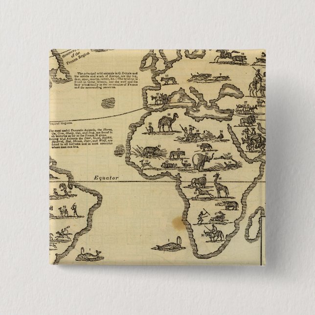 Badge Carré 5 Cm Le monde des animaux (Devant)