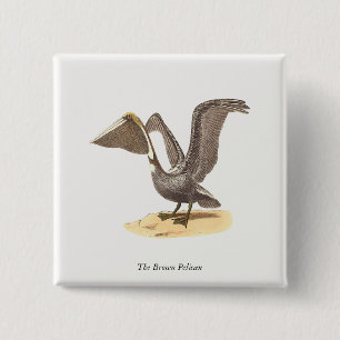 Badge Carré 5 Cm Le pélican Brown (Pelecanus occidentalis) NY Bird
