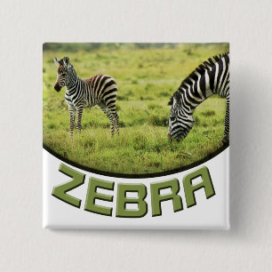 Badge Carré 5 Cm Le safari de faune de zèbre et de poulain de zèb