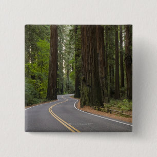 Badge Carré 5 Cm Les Etats-Unis, la Californie, route par la forêt
