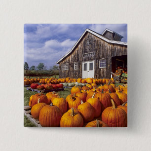 Badge Carré 5 Cm Les Etats-Unis, Vermont, Shelbourne, citrouilles