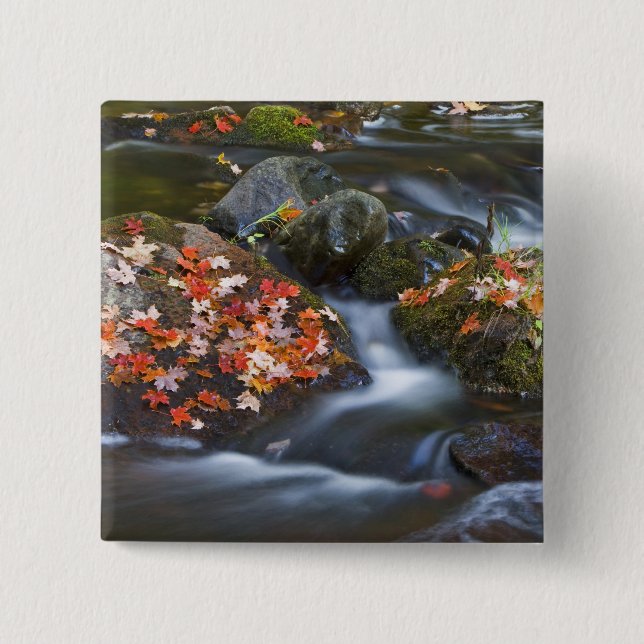 Badge Carré 5 Cm Les feuilles d'érable rouge tapissent les rochers  (Devant)