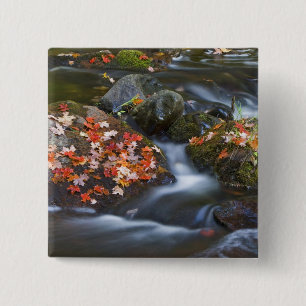 Badge Carré 5 Cm Les feuilles d'érable rouge tapissent les rochers