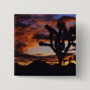 Badge Carré 5 Cm Lever de soleil spectaculaire à Joshua Tree Nation