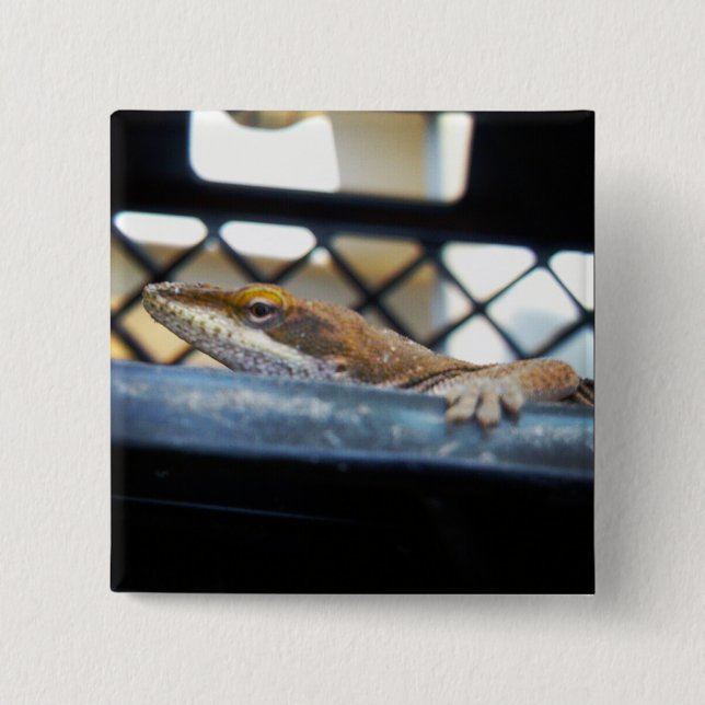 Badge Carré 5 Cm Lézard d'oignons vertes du soleil (Devant)