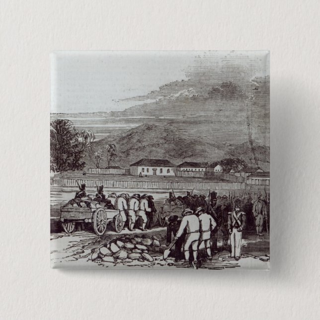 Badge Carré 5 Cm L'Île Norfolk (Devant)