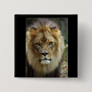 Badge Carré 5 Cm Lion