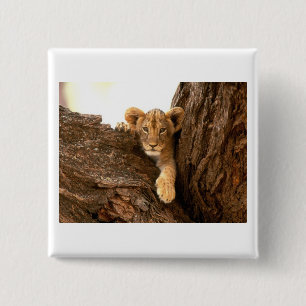 Badge Carré 5 Cm Lion CUB