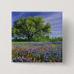 Badge Carré 5 Cm Live Oak & Texas Paintbrush et Texas