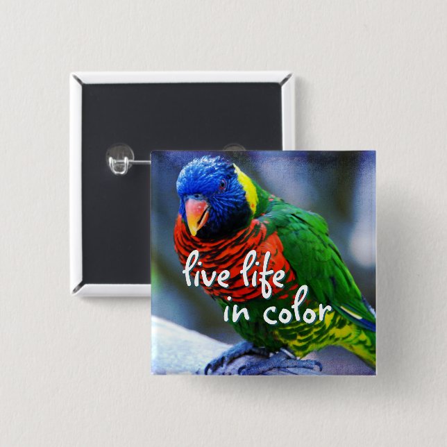Badge Carré 5 Cm Lorikeet rouge bleu vert oiseau vie vie couleur (Devant & derrière)