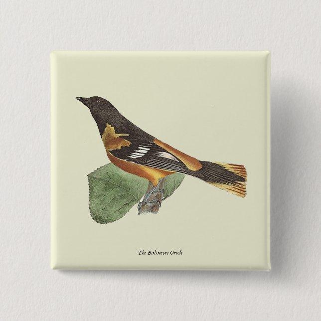 Badge Carré 5 Cm L'Oriole d'Or ou de Baltimore (Icterus galbula) (Devant)