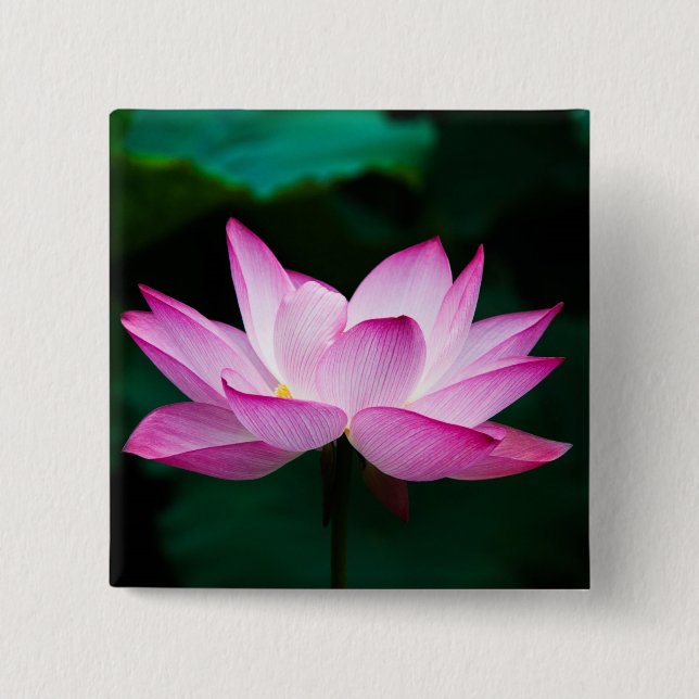 Badge Carré 5 Cm Lotus rose (Devant)