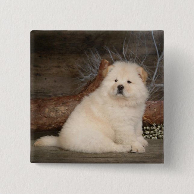 Badge Carré 5 Cm Love Chow Chow Puppy Chien Pin (Devant)