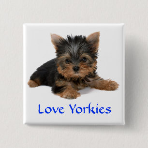 Badge Carré 5 Cm Love Yorkies Puppy Button Pin