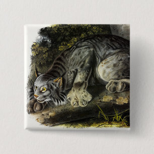 Badge Carré 5 Cm Lynx du Canada (Lynx Canadensis) (Lynx du Canada)