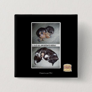 Badge Carré 5 Cm M. snuggies forebber de hadz d'iz