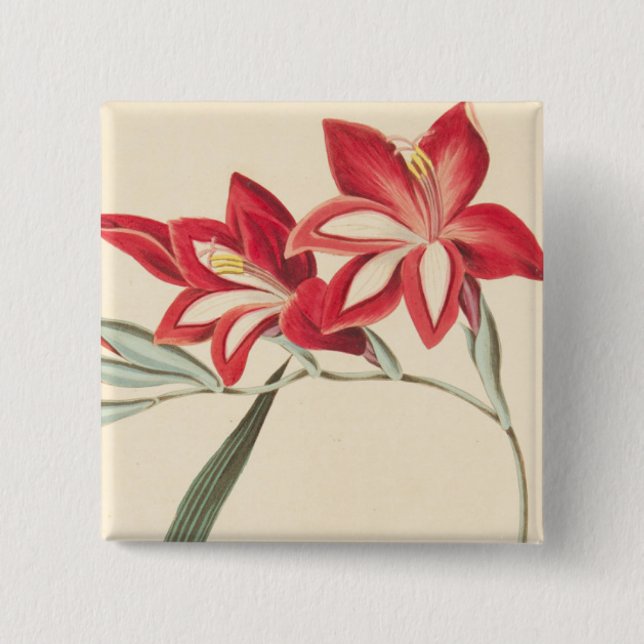 Badge Carré 5 Cm Maïs-Drapeau superbe (Devant)