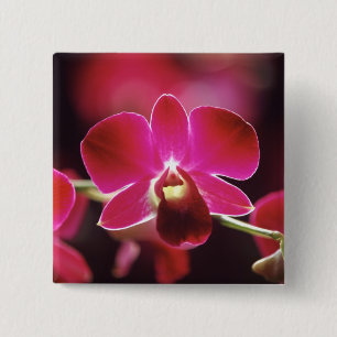 Badge Carré 5 Cm Malaisie, Orchidée