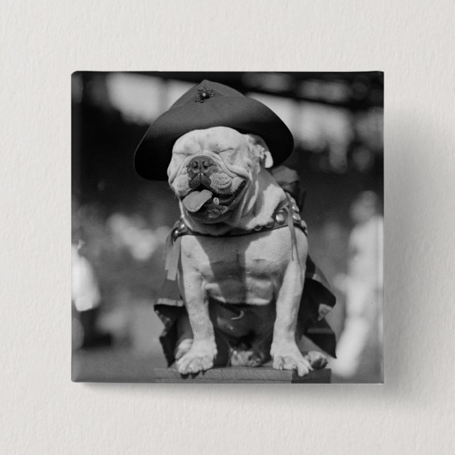 Badge Carré 5 Cm Marine Corps mascotte, les années 1920 (Devant)